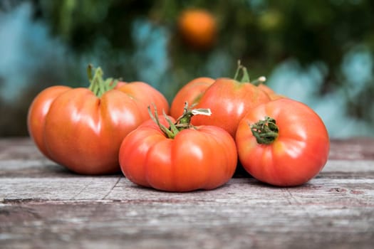 Organic food, Free red vegetables of tomato