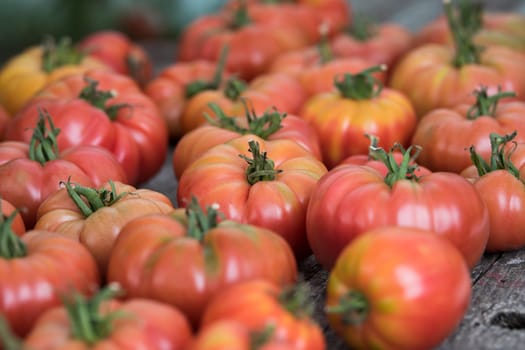 Tomatoes vegetable garden, organic products