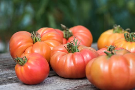 Vegetables, Tomatoes,  on desk in garden