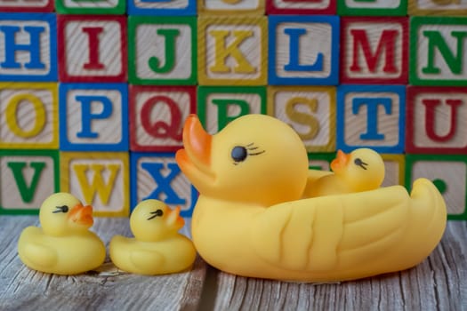 Rubber duck toy in front of child education wooden block