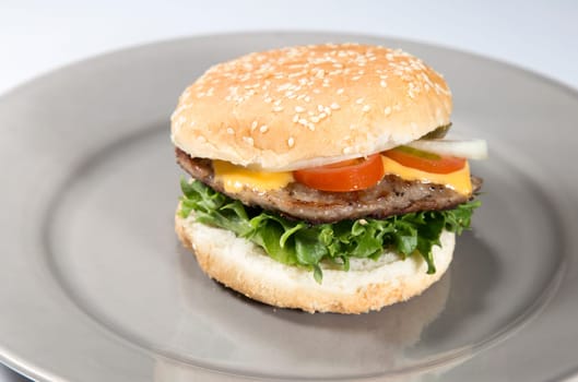 Hamburger on Plate with white background.