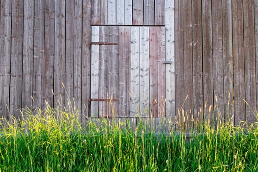 Barn Door in Sweden with tall grass infront of it.