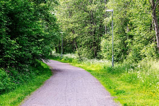 Gravel Road in Swedish Summer