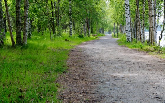 Gravel Road in Umeå, Sweden with the river to the right.