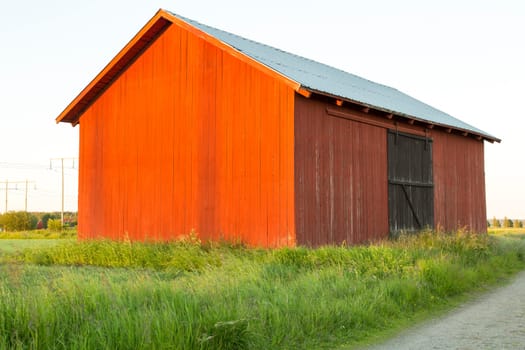 Swedish red Barn in field by road.