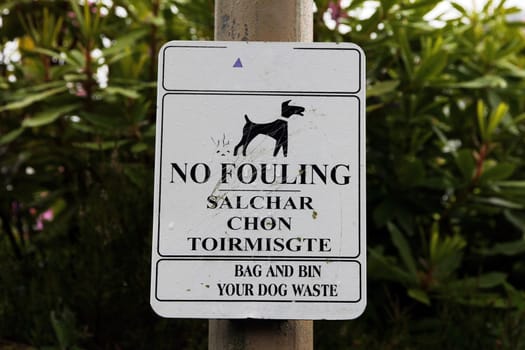Sign No Fouling - Sign dog excrement prohibited