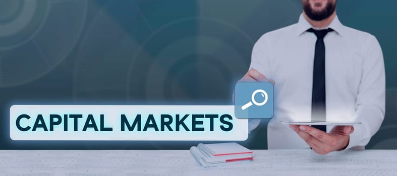 Text sign showing Capital Markets, Business overview Allow businesses to raise funds by providing market security