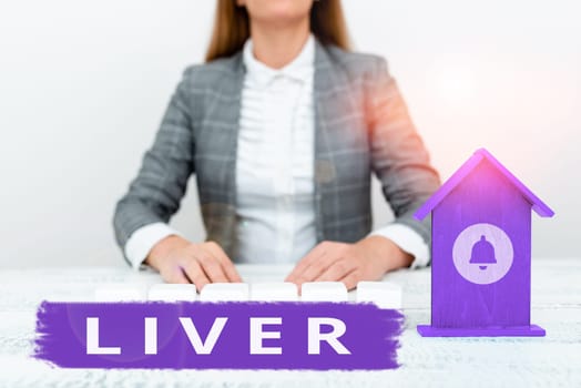 Text sign showing Liver, Business concept Large lobed glandular organ in the abdomen of vertebrates Produce bile