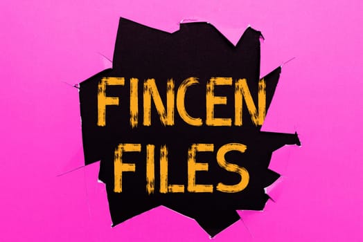 Hand writing sign Fincen Files, Business overview Transactions in financial assets and liabilities