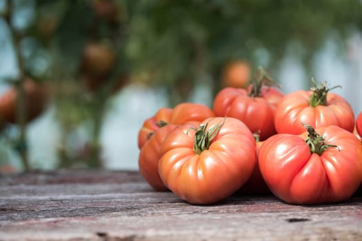 Vegetables, tomatoes on wooden desk