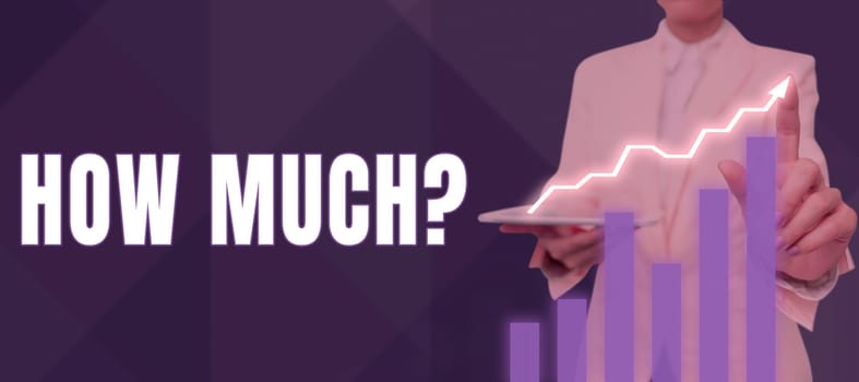 Conceptual display How Much, Business showcase ask about the amount or cost of something What amount or price