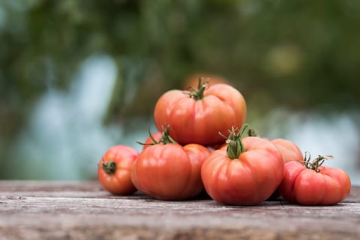 Vegetables, tomatoes on wooden desk