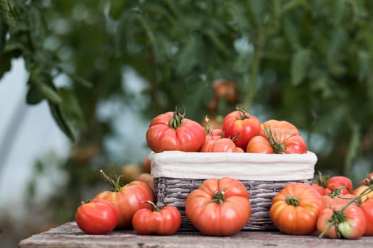 Vegetables, tomatoes on wooden desk