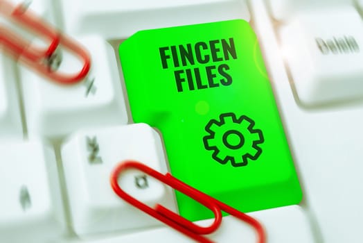 Conceptual caption Fincen Files, Conceptual photo Transactions in financial assets and liabilities
