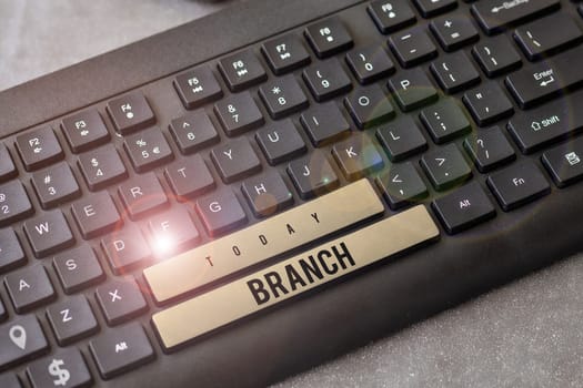 Text sign showing Branch, Business approach a part of a tree which grows out from the trunk or from a bough