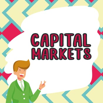 Hand writing sign Capital Markets, Business overview Allow businesses to raise funds by providing market security