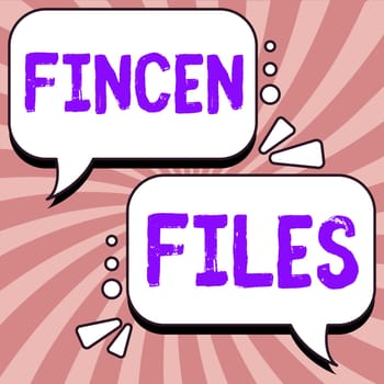 Text showing inspiration Fincen Files, Business showcase Transactions in financial assets and liabilities