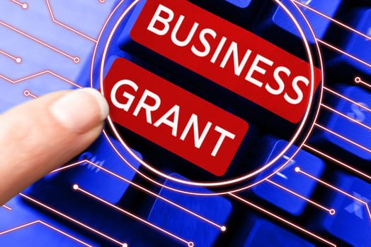 Conceptual display Business Grant, Word Written on Working strategies accomplish objectives