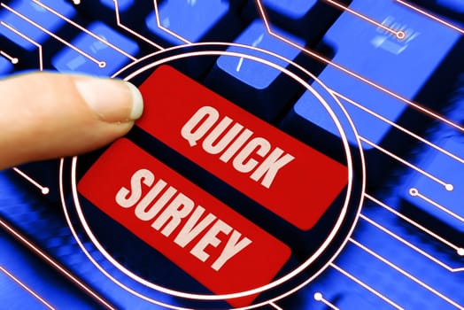Conceptual display Quick Survey, Concept meaning Conduct fast check on condition value situation of something