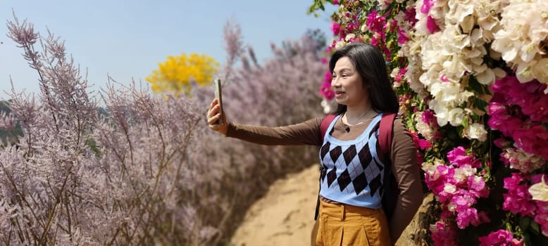 Zhongliao Pink Hill Muskwood, Nantou - March 10, 2023 : Beautiful Pink Hill Muskwood in Zhongliao, Nantou, Taiwan