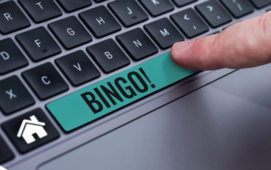 Text caption presenting Bingo, Business concept game of chance in which each player matches numbers printed