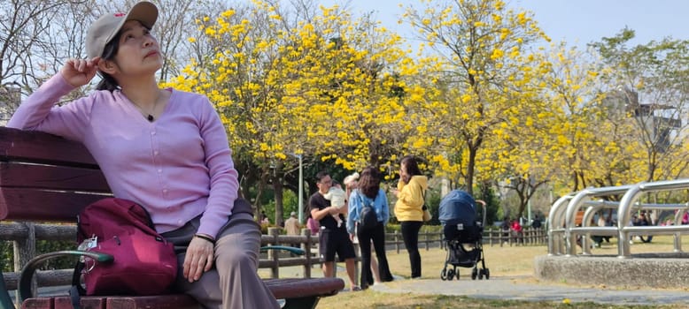 Beitun Xizi Park, Taichung - March 9, 2023 : Beside Xizi Park in Dakeng, Taichung, Suzuki chinensis are in full bloom