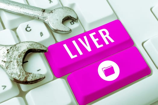 Writing displaying text Liver, Business showcase Large lobed glandular organ in the abdomen of vertebrates Produce bile