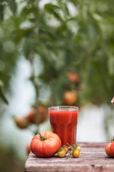 Fresh tomato juice, on a wooden background