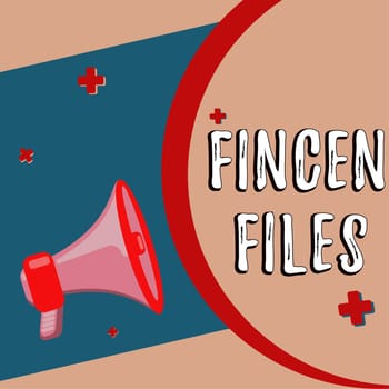 Sign displaying Fincen Files, Word Written on Transactions in financial assets and liabilities