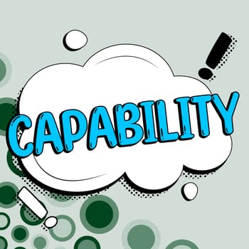 Conceptual display Capability, Business overview the facility or potential for an indicated use or deployment