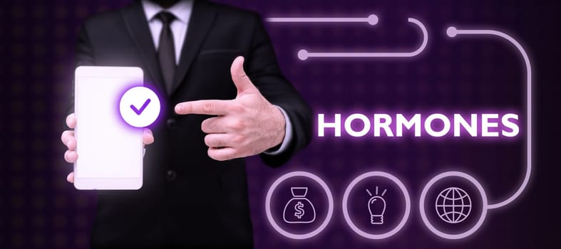 Handwriting text Hormones, Business showcase regulatory substance produced in organism transported tissue fluids