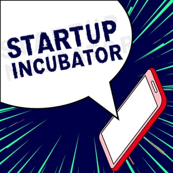 Writing displaying text Startup Incubator, Conceptual photo Concept that can be used for financial gain of business