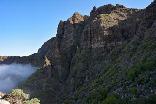 Teno mountains with fog at Masca on the Canary Island of Tenerife, Spain, Europe