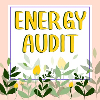 Text showing inspiration Energy Audit, Concept meaning assessment of the energy needs and efficiency of a building