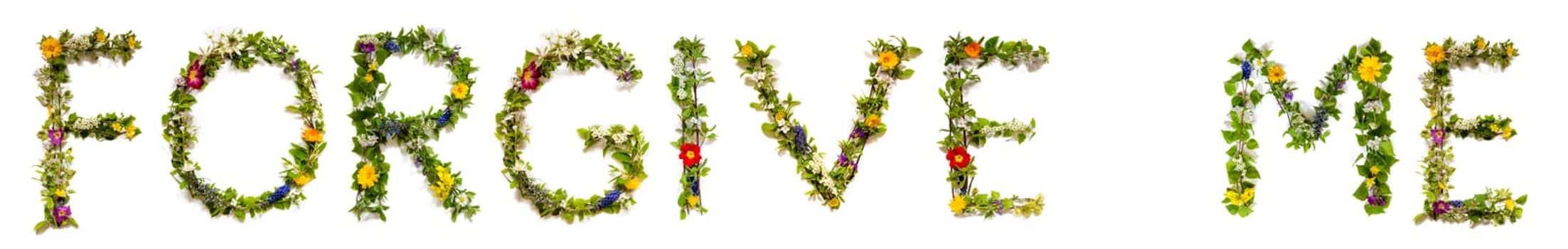 Blooming Flower Letters Building English Word Forgive Me. Colorful Spring and Summer Blossoms. White Isolated Background.