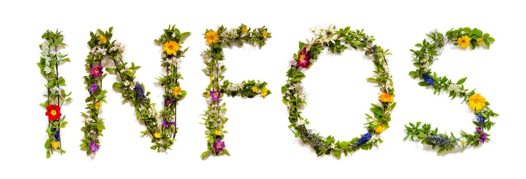 Blooming Flower Letters Building German Word Infos Means Information. Colorful Spring and Summer Blossoms. White Isolated Background.