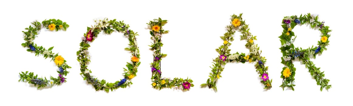 Blooming Flower Letters Building English Word Solar. Summer And Spring Season Blossoms And Flower Lei.