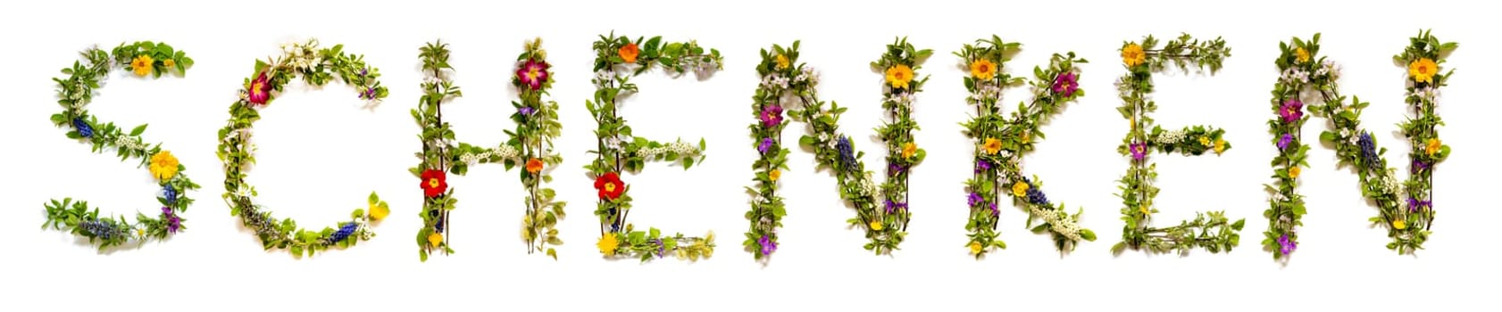 Blooming Flower Letters Building German Word Schenken Means Give. Colorful Spring and Summer Blossoms. White Isolated Background.
