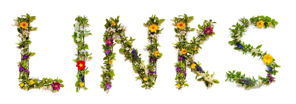 Blooming Flower Letters Building English Word Links. Colorful Spring and Summer Blossoms. White Isolated Background.