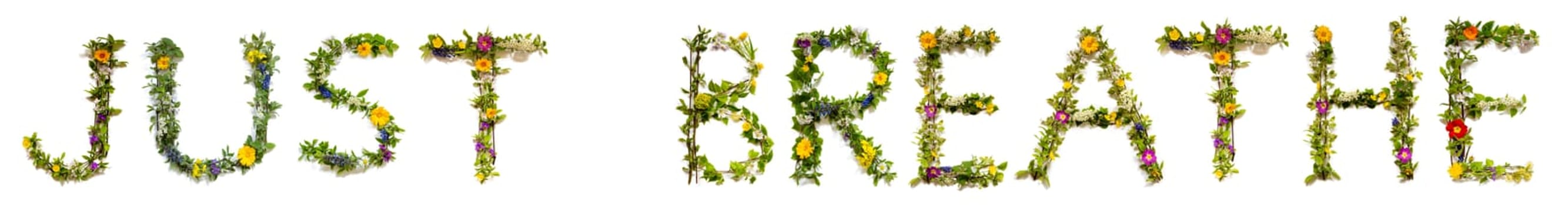 Blooming Flower Letters Building English Word Just Breathe. Colorful Spring and Summer Blossoms. White Isolated Background.