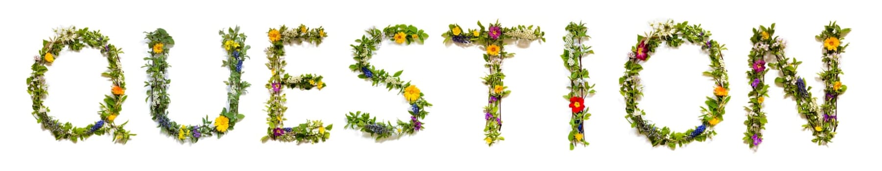 Blooming Flower Letters Building English Word Question. Colorful Spring and Summer Blossoms. White Isolated Background.