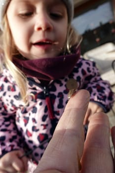 Kleines Kind beobachtet eine Wanze auf einem Finger