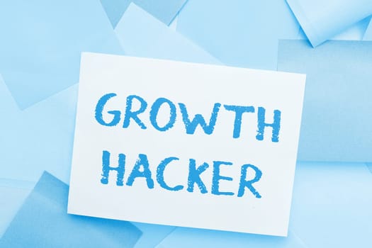 Text showing inspiration Growth Hacker, Business overview generally to acquire as many users or customers as possible