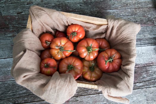 Vegetables, Tomatoes,  on desk in garden