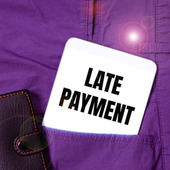 Text caption presenting Late Payment, Business overview payment made to the lender after the due date has passed