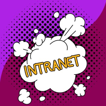 Text sign showing Intranet, Business concept local or restricted communications network especially private one
