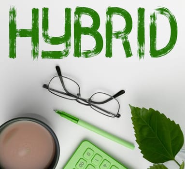 Writing displaying text Hybrid, Business concept offspring of two plants or animals of different species or varieties