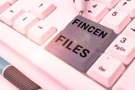 Hand writing sign Fincen Files, Internet Concept Transactions in financial assets and liabilities