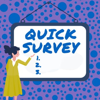 Writing displaying text Quick Survey, Conceptual photo Conduct fast check on condition value situation of something