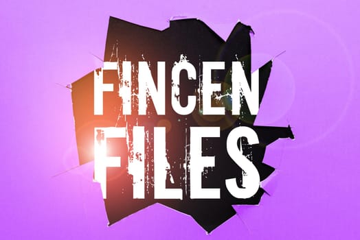 Hand writing sign Fincen Files, Word Written on Transactions in financial assets and liabilities